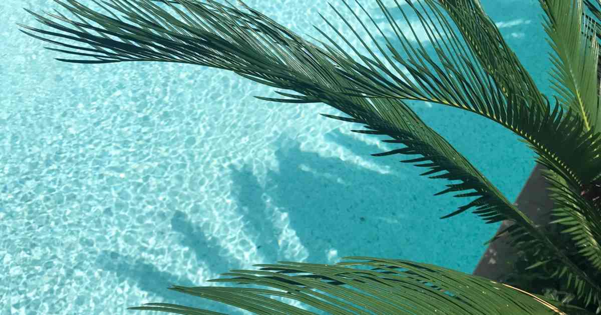 Is Coral Springs Tap Water Safe to Drink? 2022