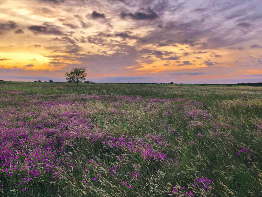 Is Killeen Tap Water Safe to Drink? 2022