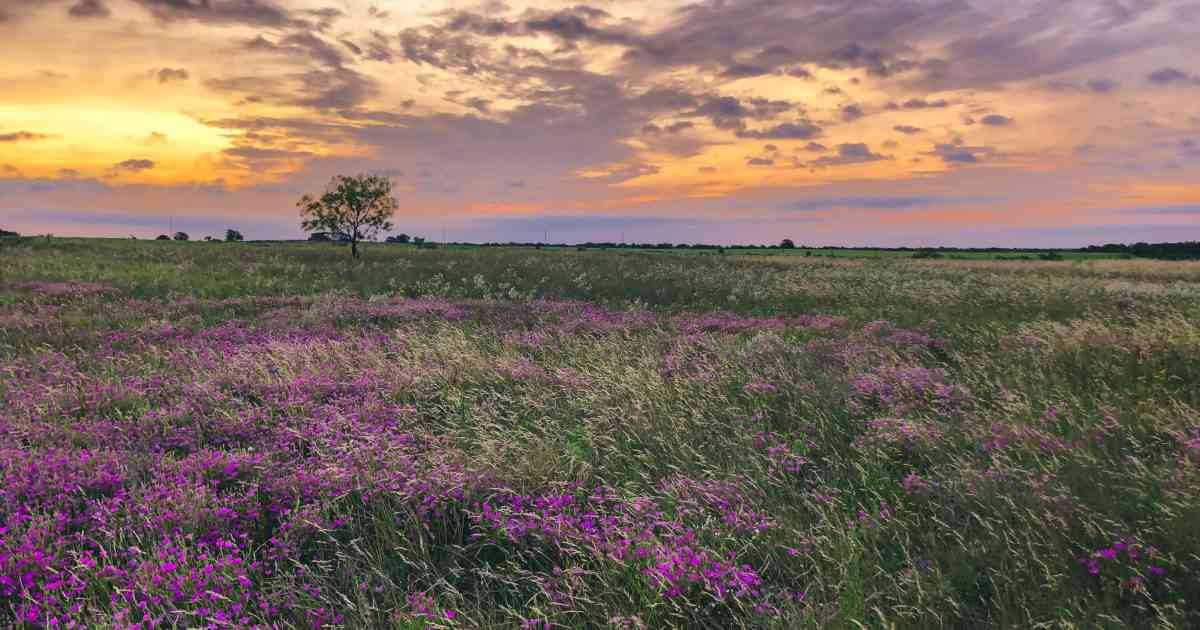 Is Killeen Tap Water Safe to Drink? 2022