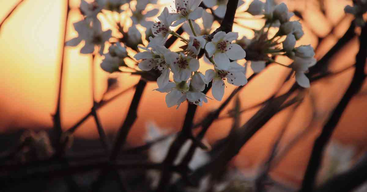 Is Lubbock Tap Water Safe to Drink? 2022