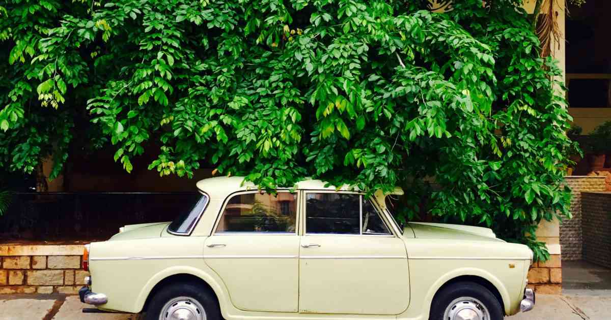 Is Mcallen Tap Water Safe to Drink? 2022