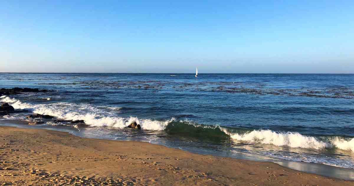 Is Monterey Tap Water Safe to Drink? 2022