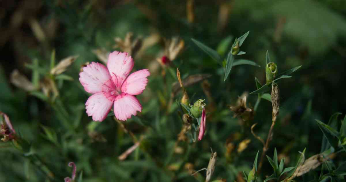 Is Normal Tap Water Safe to Drink? 2022