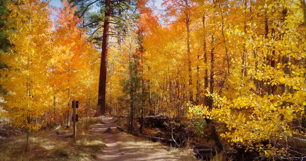 Is Reno Tap Water Safe To Drink? 2022