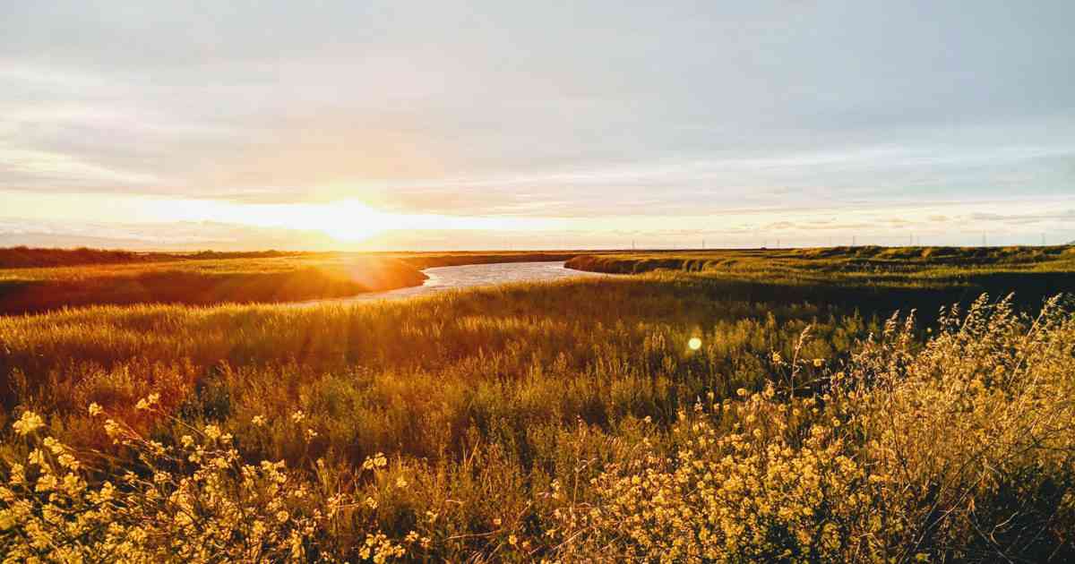 Is Sunnyvale Tap Water Safe to Drink? 2022