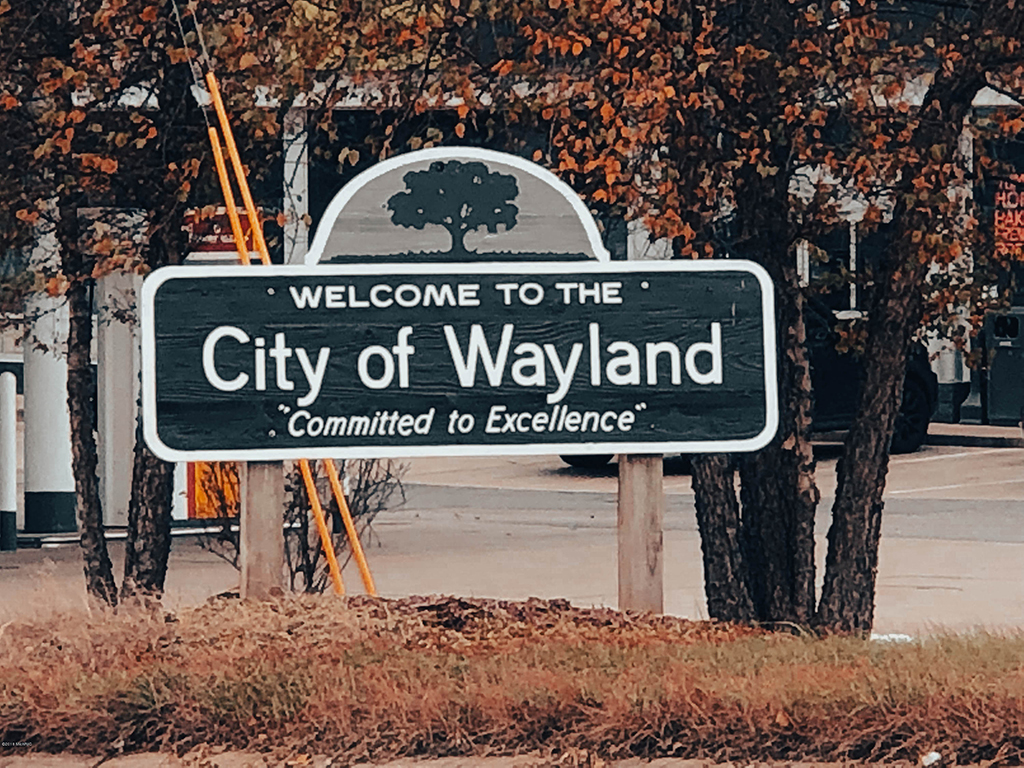 Is Wayland Tap Water Safe to Drink? Tap water & safety quality